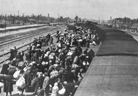 Exiting Boxcars at Auschwitz-Birkenau