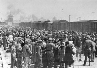 A Woman Sent to be Gassed at Auschwitz